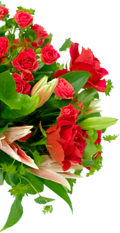 decorative image 1