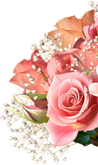 decorative image 2