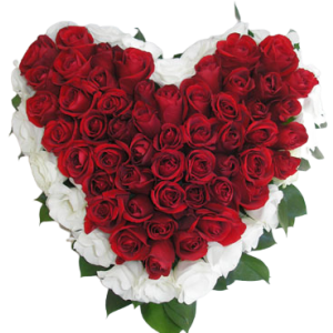 הלב של ברזיל